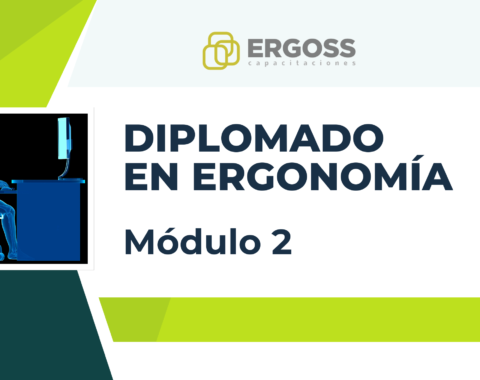 Diplomado en Ergonomía Aplicada – Módulo 2: Generalidades de Anatomía y Biomecánica en Ergonomía
